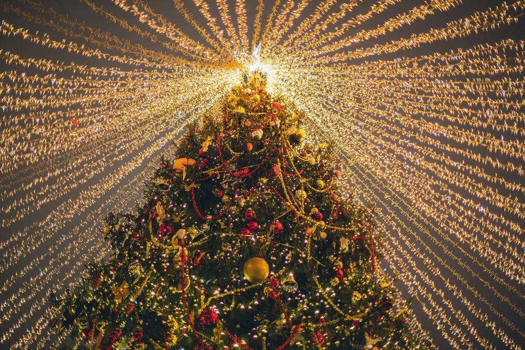 Gymkhana de luces de Navidad
