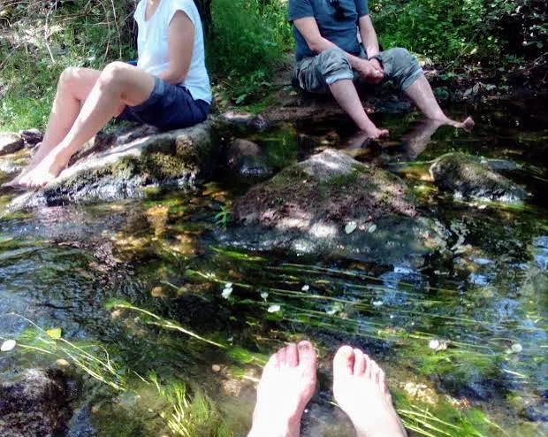 Momento de la experiencia de Baño de bosque y mindfulness en Madrid