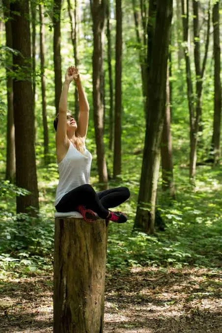 Grupo durante la actividad de Baño de bosque y mindfulness en Madrid