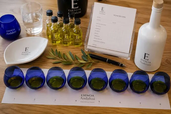 Participantes colaborando de Cata de aceite de oliva virgen extra en Madrid