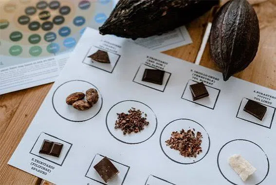Equipo durante la actividad de Cata de chocolate en Madrid