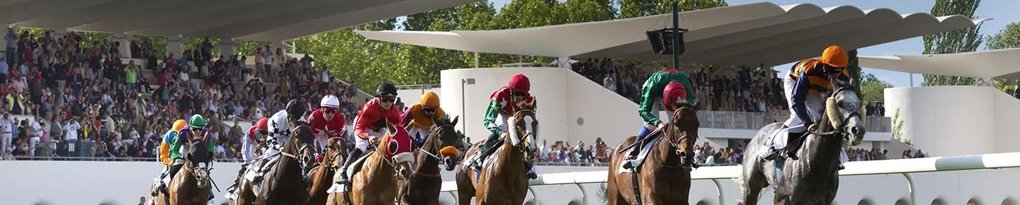Hipódromo de la Zarzuela: vista del espacio