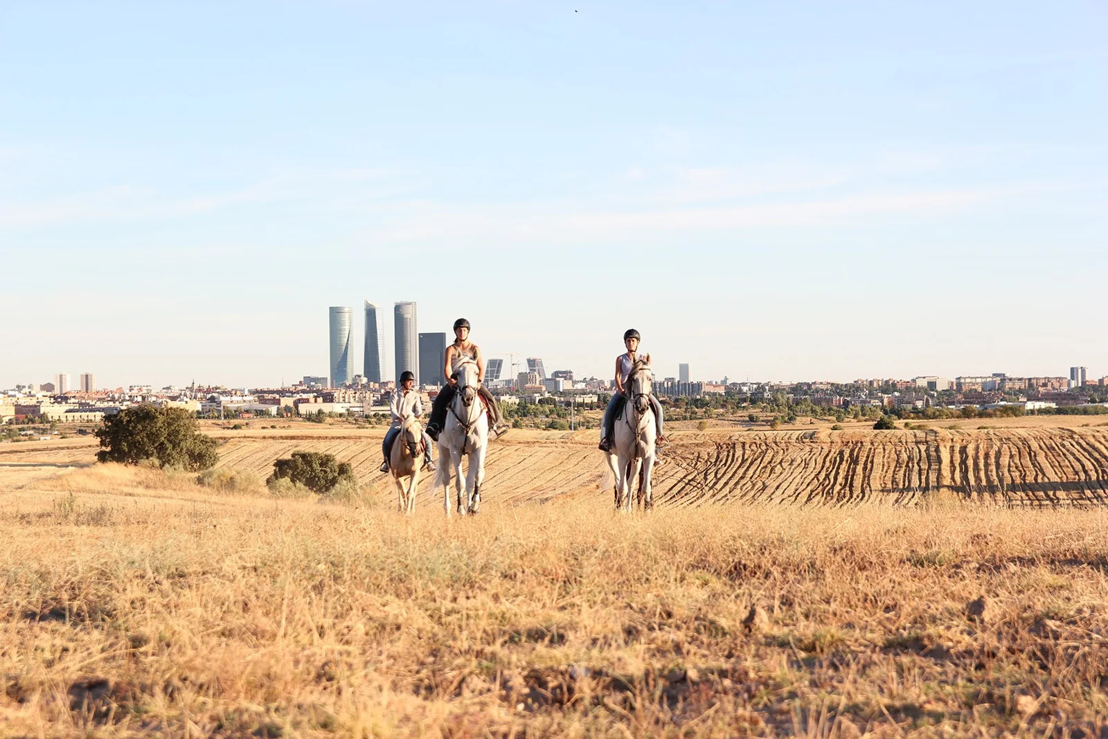 Paseo a Caballo Madrid · Ilome Equestre: vista del espacio